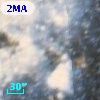 2MASS J05395040-6946436