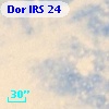Dor IRS  24