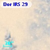 Dor IRS  29