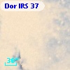 Dor IRS  37