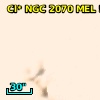 Cl* NGC 2070    MEL      52