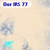 Dor IRS  77