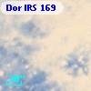 Dor IRS 169