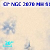 Cl* NGC 2070     MH      81