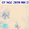 Cl* NGC 2070     MH     231