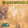 Cl* NGC 2070     MH     320