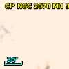 Cl* NGC 2070     MH     339