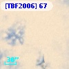[TBF2006]  67