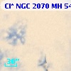Cl* NGC 2070     MH     548