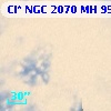Cl* NGC 2070     MH     955