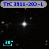 TYC 3911-203-1