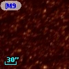LM 2-33