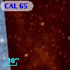 CAL 65