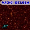 MACHO* J052936.0-694027