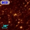 BCDSP 8