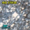 HD  37836