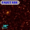 FAUST  899