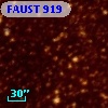 FAUST  919