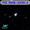 TYC 3916-1334-1