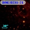 [O96] D231-21