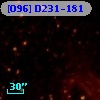[O96] D231-181
