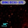 [O96] D231-175