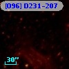 [O96] D231-207