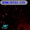 [O96] D231-225