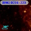 [O96] D231-223