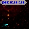 [O96] D231-231