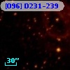 [O96] D231-239