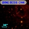 [O96] D231-244