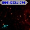 [O96] D231-274