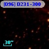 [O96] D231-300