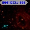 [O96] D231-308