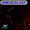 [O96] D231-317