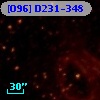 [O96] D231-348