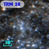 TRM  10