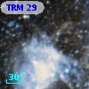 TRM  29