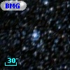 BMG  24
