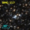 BMG 117