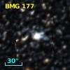 BMG 177