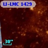 LI-LMC 1429