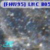 [FHW95] LMC B0540-6935