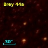Brey  44a
