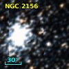 NGC  2156