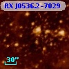 RX J0536.2-7029