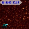 LI-LMC 1217