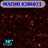 MACHO 8206021