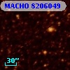 MACHO 8206049